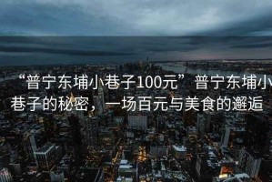 “普寧東埔小巷子100元”普寧東埔小巷子的秘密，一場百元與美食的邂逅