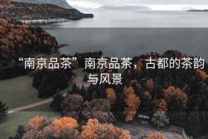 “南京品茶”南京品茶，古都的茶韻與風景