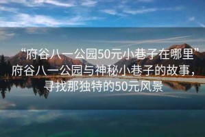 “府谷八一公園50元小巷子在哪里”府谷八一公園與神秘小巷子的故事，尋找那獨(dú)特的50元風(fēng)景