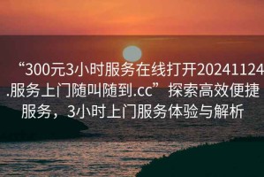 “300元3小時(shí)服務(wù)在線打開20241124.服務(wù)上門隨叫隨到.cc”探索高效便捷服務(wù)，3小時(shí)上門服務(wù)體驗(yàn)與解析
