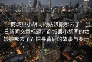 “商城縣小胡同的姑娘搬哪去了”當日新聞文章標題，商城縣小胡同的姑娘搬哪去了？探尋背后的故事與變遷