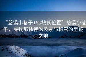 “慈溪小巷子150塊錢位置”慈溪小巷子，尋找那獨(dú)特的風(fēng)景與秘密的寶藏之地