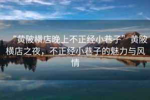 “黃陂橫店晚上不正經小巷子”黃陂橫店之夜，不正經小巷子的魅力與風情