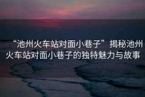 “池州火車站對面小巷子”揭秘池州火車站對面小巷子的獨特魅力與故事