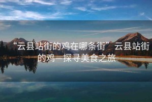 “云縣站街的雞在哪條街”云縣站街的雞—探尋美食之旅