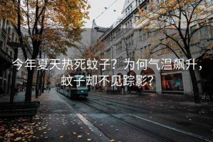 今年夏天熱死蚊子？為何氣溫飆升，蚊子卻不見蹤影？