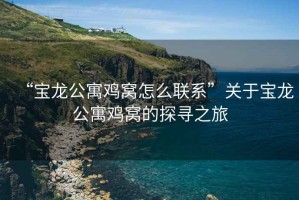 “寶龍公寓雞窩怎么聯系”關于寶龍公寓雞窩的探尋之旅