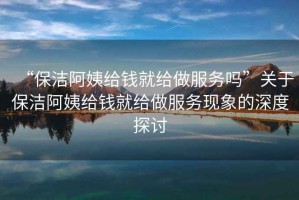 “保潔阿姨給錢就給做服務嗎”關于保潔阿姨給錢就給做服務現象的深度探討