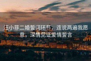 汪小菲二婚誓詞環節，連說兩遍我愿意，深情見證愛情誓言