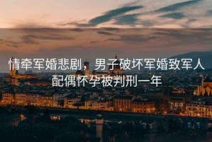 情牽軍婚悲劇，男子破壞軍婚致軍人配偶懷孕被判刑一年