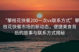 “攀枝花快餐200一次vx聯系方式”攀枝花快餐市場的新動態，便捷美食背后的故事與聯系方式揭秘