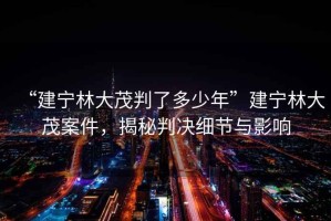 “建寧林大茂判了多少年”建寧林大茂案件，揭秘判決細節與影響
