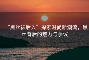 “黑絲被后入”探索時(shí)尚新潮流，黑絲背后的魅力與爭(zhēng)議