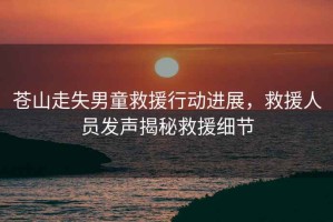 蒼山走失男童救援行動進展，救援人員發聲揭秘救援細節