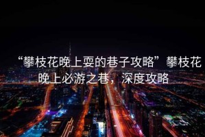 “攀枝花晚上耍的巷子攻略”攀枝花晚上必游之巷，深度攻略