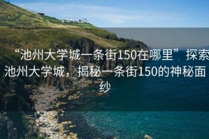 “池州大學城一條街150在哪里”探索池州大學城，揭秘一條街150的神秘面紗