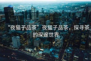 “夜貓子品茶”夜貓子品茶，探尋茶的深邃世界