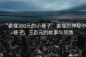 “姜堰300元的小巷子”姜堰的神秘小巷子，三百元的故事與風(fēng)情