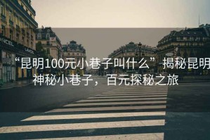 “昆明100元小巷子叫什么”揭秘昆明神秘小巷子，百元探秘之旅