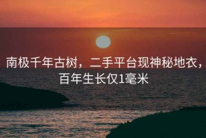 南極千年古樹，二手平臺現神秘地衣，百年生長僅1毫米