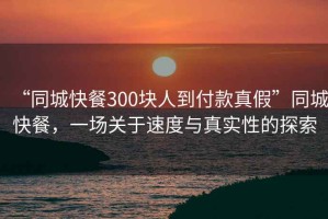 “同城快餐300塊人到付款真假”同城快餐，一場關于速度與真實性的探索