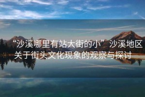 “沙溪哪里有站大街的小”沙溪地區關于街頭文化現象的觀察與探討