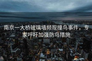 南京一大橋玻璃墻頻現(xiàn)撞鳥事件，專家呼吁加強(qiáng)防鳥措施