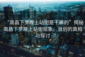 “南昌下羅晚上站街是干嘛的”揭秘南昌下羅晚上站街現象，背后的真相與探討