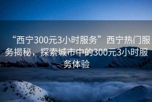 “西寧300元3小時(shí)服務(wù)”西寧熱門服務(wù)揭秘，探索城市中的300元3小時(shí)服務(wù)體驗(yàn)