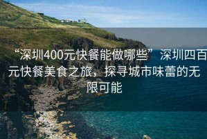 “深圳400元快餐能做哪些”深圳四百元快餐美食之旅，探尋城市味蕾的無限可能
