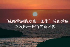 “成都營康路發廊一條街”成都營康路發廊一條街的新風貌