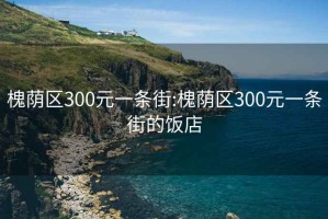槐蔭區300元一條街:槐蔭區300元一條街的飯店