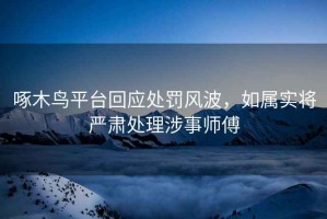 啄木鳥平臺回應處罰風波，如屬實將嚴肅處理涉事師傅