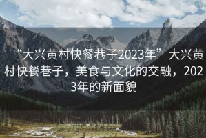 “大興黃村快餐巷子2023年”大興黃村快餐巷子，美食與文化的交融，2023年的新面貌