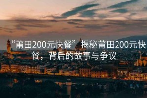 “莆田200元快餐”揭秘莆田200元快餐，背后的故事與爭議