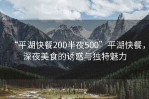 “平湖快餐200半夜500”平湖快餐，深夜美食的誘惑與獨特魅力
