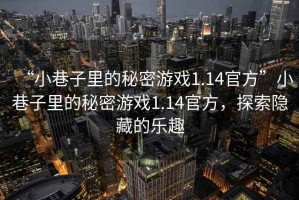 “小巷子里的秘密游戲1.14官方”小巷子里的秘密游戲1.14官方，探索隱藏的樂趣