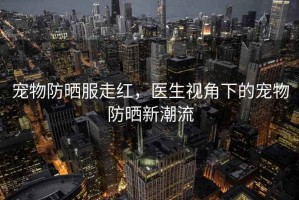 寵物防曬服走紅，醫生視角下的寵物防曬新潮流