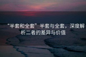 “半套和全套”半套與全套，深度解析二者的差異與價值