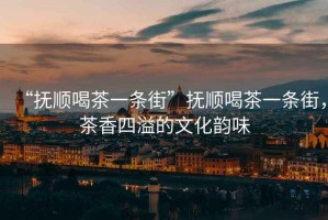 “撫順喝茶一條街”撫順喝茶一條街，茶香四溢的文化韻味