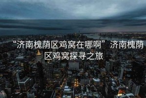 “濟南槐蔭區雞窩在哪啊”濟南槐蔭區雞窩探尋之旅
