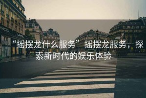 “搖擺龍什么服務”搖擺龍服務，探索新時代的娛樂體驗