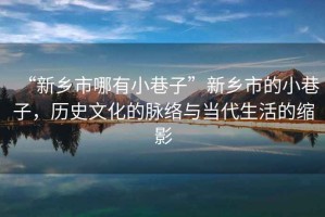 “新鄉市哪有小巷子”新鄉市的小巷子，歷史文化的脈絡與當代生活的縮影