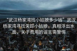 “武漢楊家灣找小姑娘多少錢”武漢楊家灣尋找失蹤小姑娘，真相浮出水面，關于費用的謠言需警惕