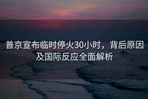 普京宣布臨時停火30小時，背后原因及國際反應(yīng)全面解析