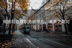 佩通坦總理職務(wù)被停后，未來之路何在？