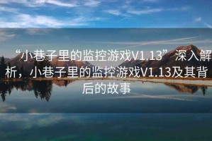 “小巷子里的監控游戲V1.13”深入解析，小巷子里的監控游戲V1.13及其背后的故事
