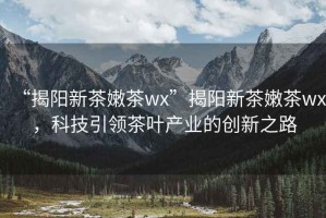“揭陽新茶嫩茶wx”揭陽新茶嫩茶wx，科技引領茶葉產業的創新之路