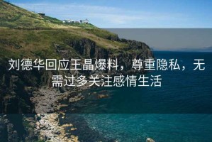 劉德華回應王晶爆料，尊重隱私，無需過多關注感情生活