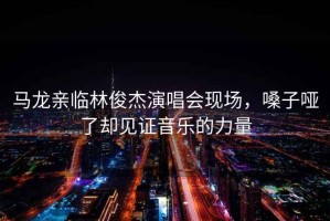 馬龍親臨林俊杰演唱會現場，嗓子啞了卻見證音樂的力量